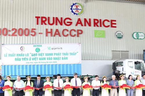 Xuất khẩu lô hàng 'Gạo Việt xanh phát thải thấp' đầu tiên sang Nhật Bản