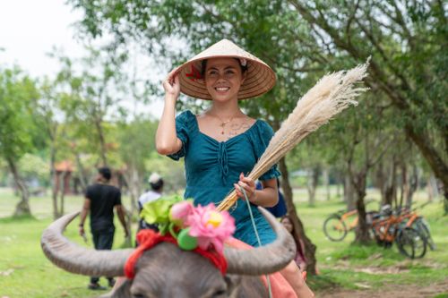 Rợp khách đến Ninh Bình ngắm Tam Cốc mùa vàng