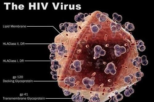 Đột phá trong điều trị HIV khiến các nhà nghiên cứu 'choáng ngợp'