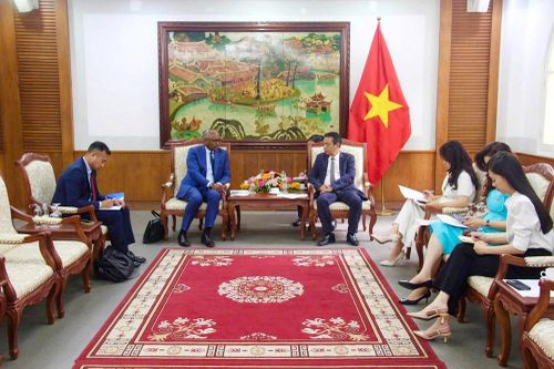 Thứ trưởng Hoàng Đạo Cương tiếp ứng cử viên Tổng Giám đốc UNESCO Firmin Edouard Matoko