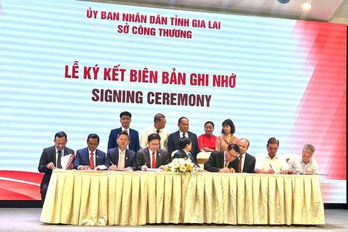 Tăng cường kết nối giao thương giữa DN Gia Lai với DN nước ngoài
