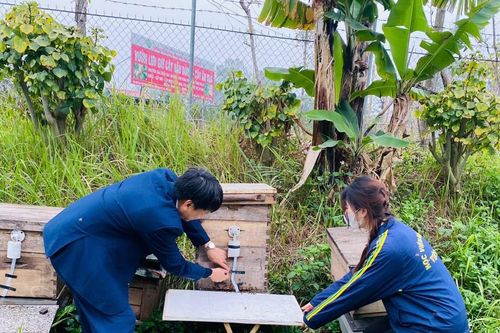 Đưa công nghệ số phát triển ngành ong Việt