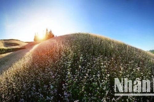 Chiến lược du lịch thích ứng trước thời điểm sáp nhập