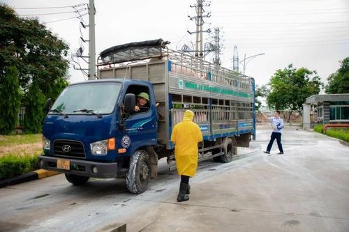 Hà Nội: Kiểm tra điều kiện giết mổ tại nhà máy C.P Việt Nam