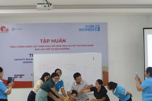 Thúc đẩy mô hình tích hợp hỗ trợ nạn nhân bạo lực giới