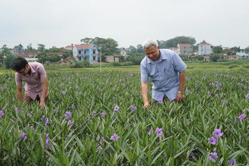 Nhân thêm những vùng quê đáng sống