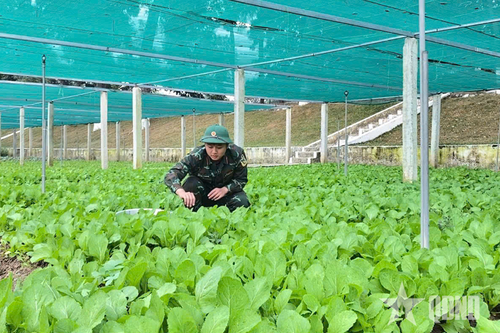 Điểm sáng về tăng gia và nuôi quân