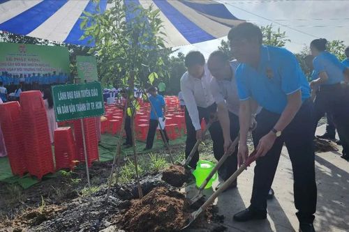 TPHCM: Phát động 'Trồng cây đời đời nhớ ơn Bác Hồ' và hưởng ứng ngày Môi trường thế giới 5-6