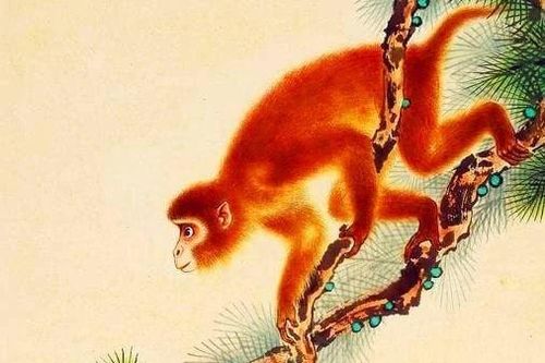 Xem ngay 5 con giáp cá chép hóa rồng, tháng 6 tiền ngập két
