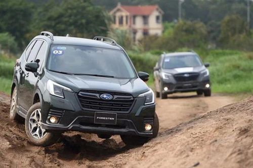 Loạt xe Subaru Việt Nam giảm 'sốc', cao nhất gần nửa tỷ đồng