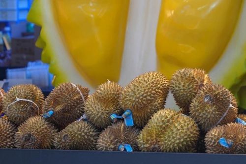 Đại sứ Phạm Thanh Bình: 'Cánh tay nối dài' đưa nông sản Việt Nam sang thị trường tỷ dân