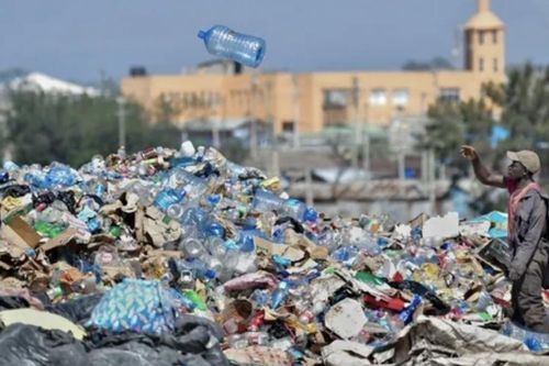 Ngày Môi trường thế giới 2025: Chung tay chống ô nhiễm nhựa