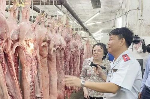 Thanh kiểm tra cơ sở giết mổ động vật trên cả nước