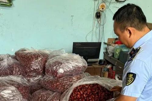 TPHCM: Phát hiện hàng tấn thực phẩm '3 không' chờ tiêu thụ