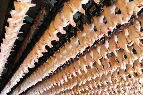 Tiếp tục kiểm tra nhà máy giết mổ của Công ty C.P Việt Nam tại Hà Nội