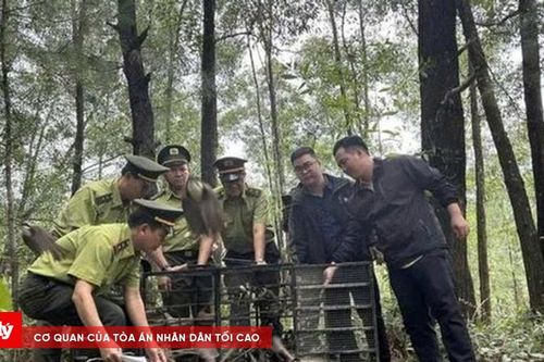 Triển khai quy định nuôi chim cảnh, tạo hiệu ứng xã hội về bảo vệ động vật hoang dã
