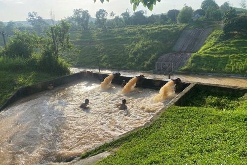 Nghệ An chủ động các giải pháp đảm bảo nước tưới vụ hè thu