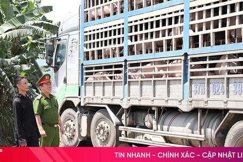 Hà Tĩnh quyết liệt trong cuộc chiến với thực phẩm bẩn