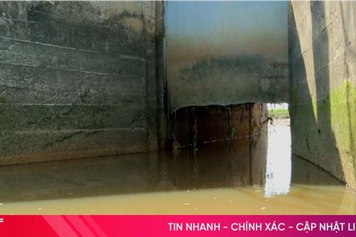 Cống vỡ đe dọa nhiều hộ dân, ảnh hưởng lớn đến đất trồng lúa