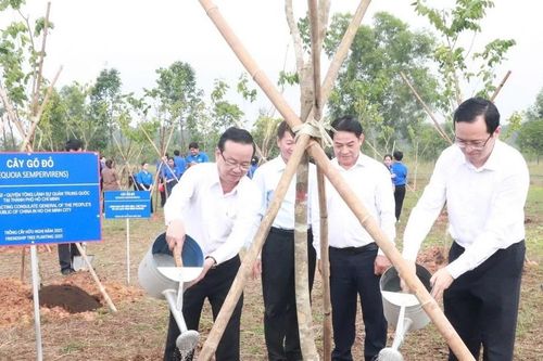 Tổ chức lễ trồng cây hữu nghị Việt Nam-Trung Quốc tại tỉnh Bình Dương