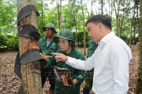 Người thợ trẻ phố Núi với nhiều sáng kiến làm lợi hàng tỷ đồng