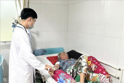 Sóc Trăng: Ghi nhận ca nhiễm khuẩn liên cầu lợn trên người