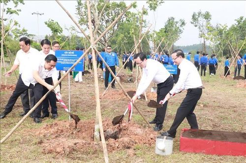 Tổ chức lễ trồng cây hữu nghị Việt Nam - Trung Quốc tại Bình Dương