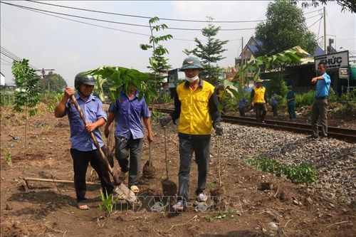 Đồng Nai lan tỏa phong trào 'đường tàu - đường hoa'