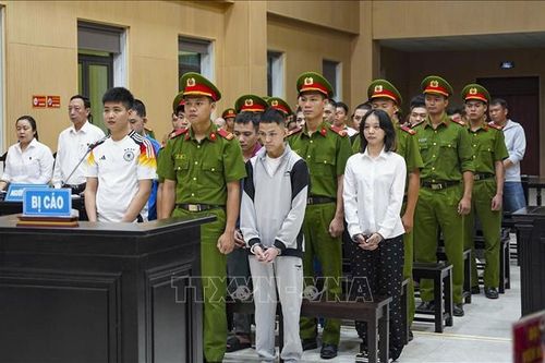 Xét xử 31 bị cáo lừa đảo chiếm đoạt tài sản qua không gian mạng
