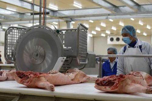 Yêu cầu chấn chỉnh công tác giết mổ lợn sau loạt vụ việc nghiêm trọng