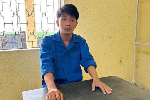 Khởi tố đối tượng lừa bán cây cảnh qua mạng