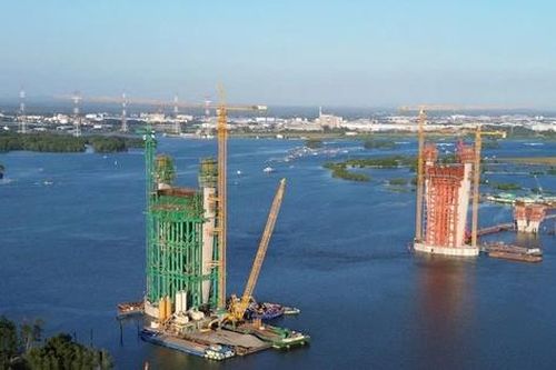 Đồng Nai chuyển đổi hơn 2,5ha rừng để xây cầu Phước An - 'mắt xích' mới cho kết nối vùng kinh tế