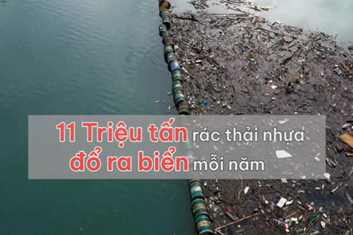 Nếu rừng là lá phổi xanh, thì biển là gì?