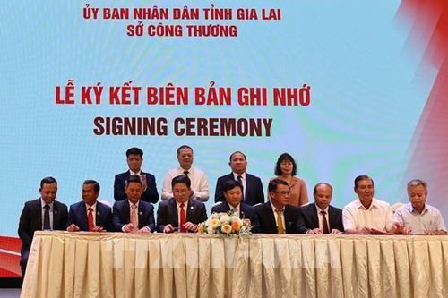 Kết nối giao thương xuất khẩu nông sản sang Nhật Bản và ASEAN