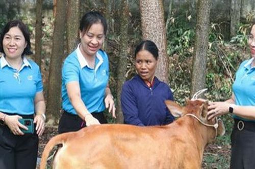 Hơn 65.000 phụ nữ vùng biên xứ Nghệ hưởng lợi từ hành trình xóa nghèo thông tin