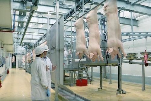 Thịt ủ mát ngày càng được người tiêu dùng lựa chọn
