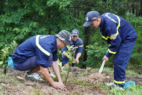 Ứng phó biến đổi khí hậu không chỉ là khẩu hiệu