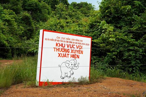 Người dân Vĩnh Cửu lo lắng tình trạng voi xuất hiện ngày càng nhiều và hung hăng