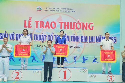 Trao 31 bộ huy chương Giải Vô địch Võ thuật Cổ truyền tỉnh Gia Lai năm 2025
