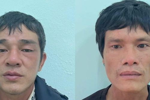 2 đối tượng chuyên trộm cắp tại các công trình xây dựng sa lưới