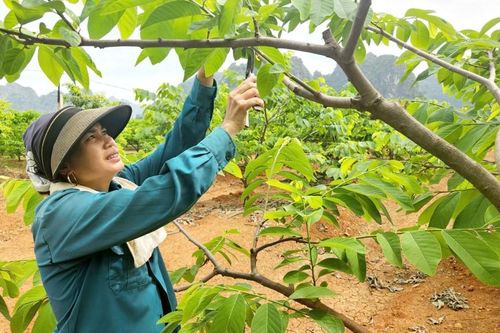 Yên Vượng: Bứt phá giảm nghèo