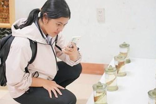 Hợp tác chuyên sâu trong bảo tồn thiên nhiên