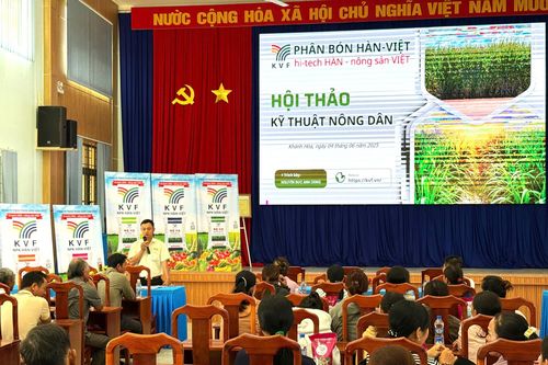 Phân Bón Hàn-Việt: giúp nông dân phân biệt phân bón giả và sử dụng hiệu quả trên cây mía