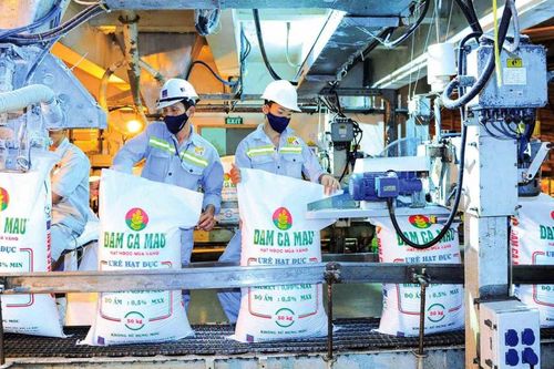 Đạm Cà Mau (DCM): Lợi nhuận bứt phá vượt 22% kế hoạch sau 6 tháng đầu năm 2025