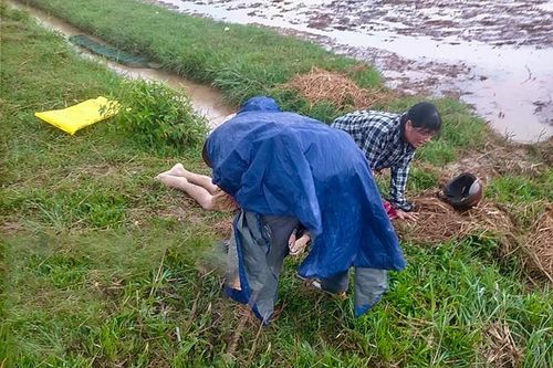 20 ngày, 4 người chết do sét đánh ở Hà Tĩnh, cơ quan chức năng cảnh báo '6 không'