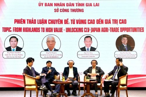 Gia Lai xúc tiến thương mại nông sản tới ASEAN, Nhật Bản