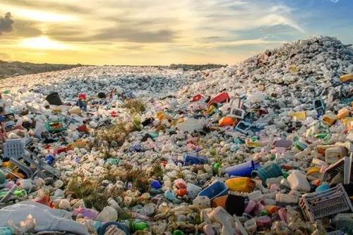 Ô nhiễm nhựa là vấn nạn nghiêm trọng trên toàn cầu