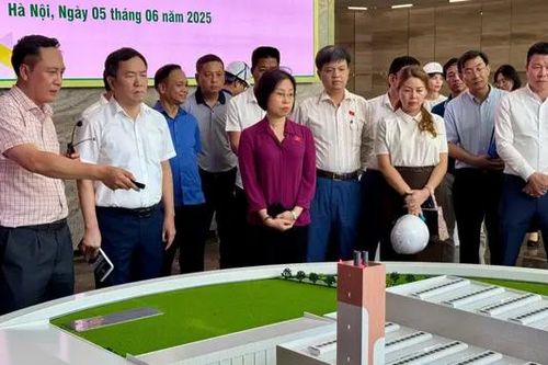Khảo sát xử lý môi trường tại Nhà máy điện rác Seraphin