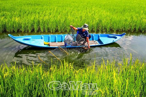 Mạnh dạn chuyển đổi mô hình