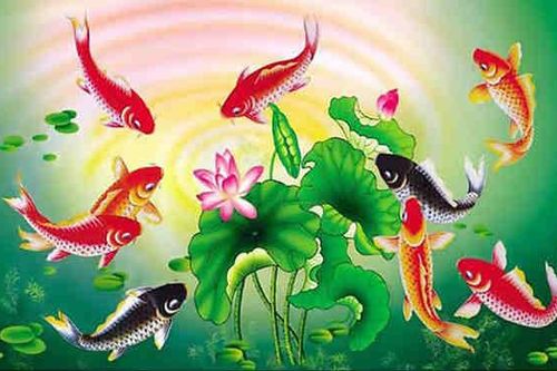 Cách bài trí tranh chín con cá chép giúp thăng tiến trong sự nghiệp và thịnh vượng về tài chính